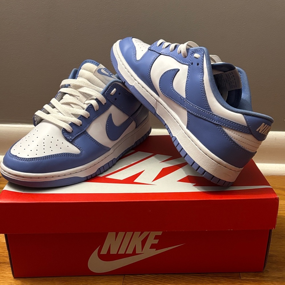 Nike Polar Blue Dunks Size 9.5 - Picture 4 of 4